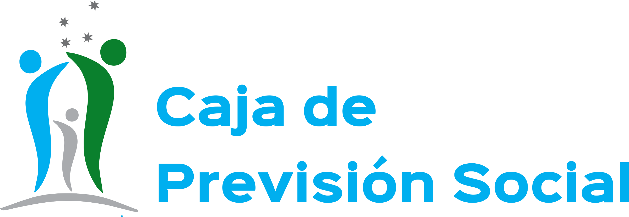 Sistema Electoral Caja de Prevision Social